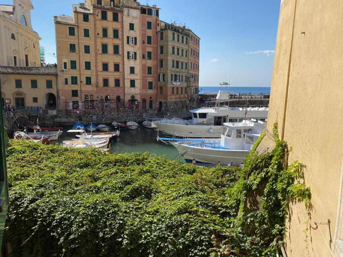 Camogli - "La Casa Di Judi" - Liguria Holidays Luaran gambar